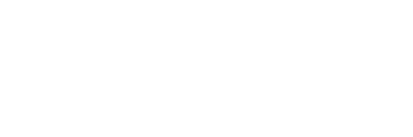 BlueOx Towing Products