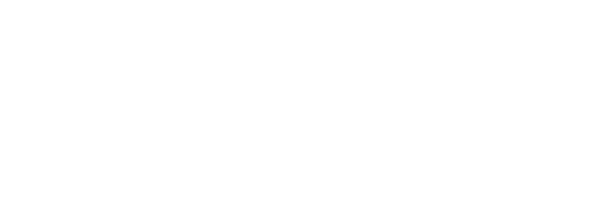Phoenix-Conversions-Moto-Metal