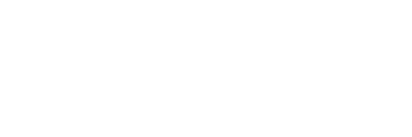 Phoenix-Conversions-Rigid
