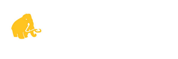 Bedrock Truck Beds Phoenix Conversions Knoxville TN